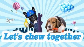 爆料宠物玩具视频大全,趣味无限，萌宠乐园视频大全  第3张