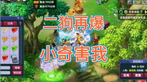 二狗再次爆料的视频,娱乐圈惊人内幕再掀波澜